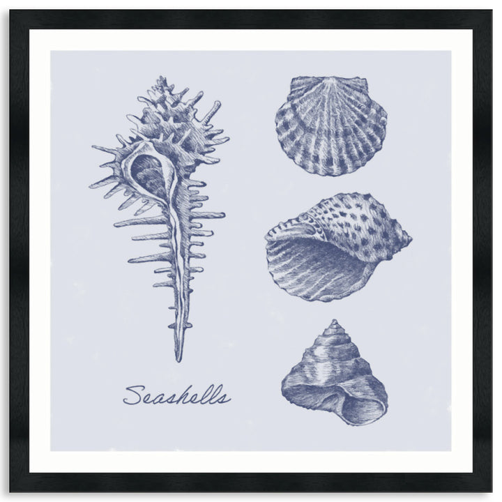 SEA SHELLS I - Framed Print