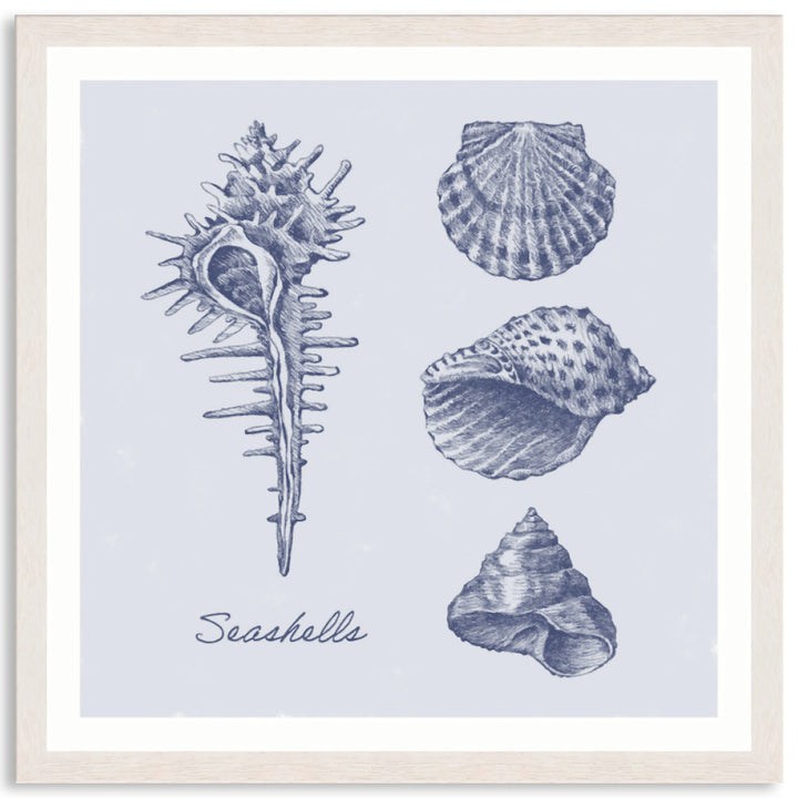 SEA SHELLS I - Framed Print