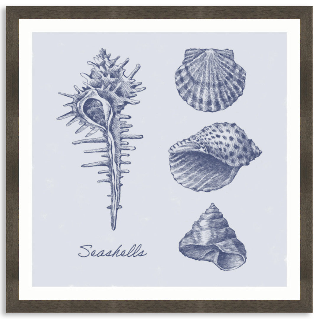 SEA SHELLS I - Framed Print
