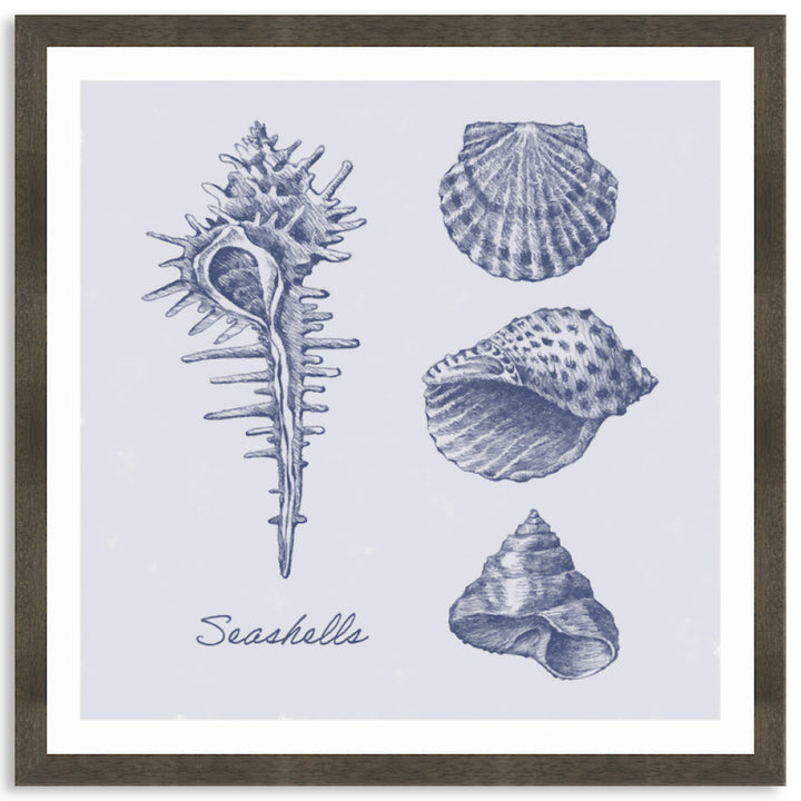 SEA SHELLS I - Framed Print