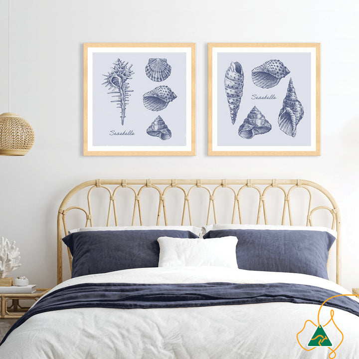 SEA SHELLS I - Framed Print