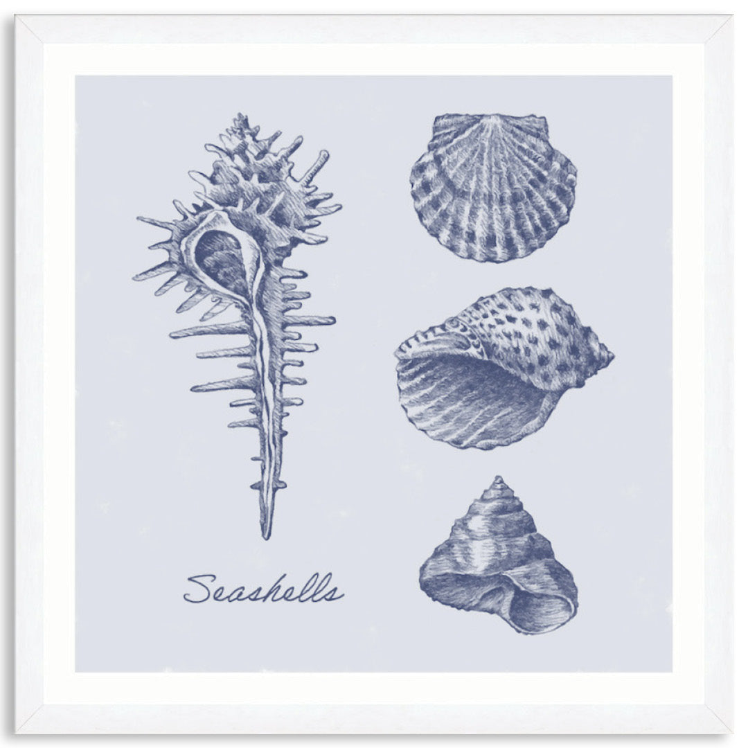 SEA SHELLS I - Framed Print
