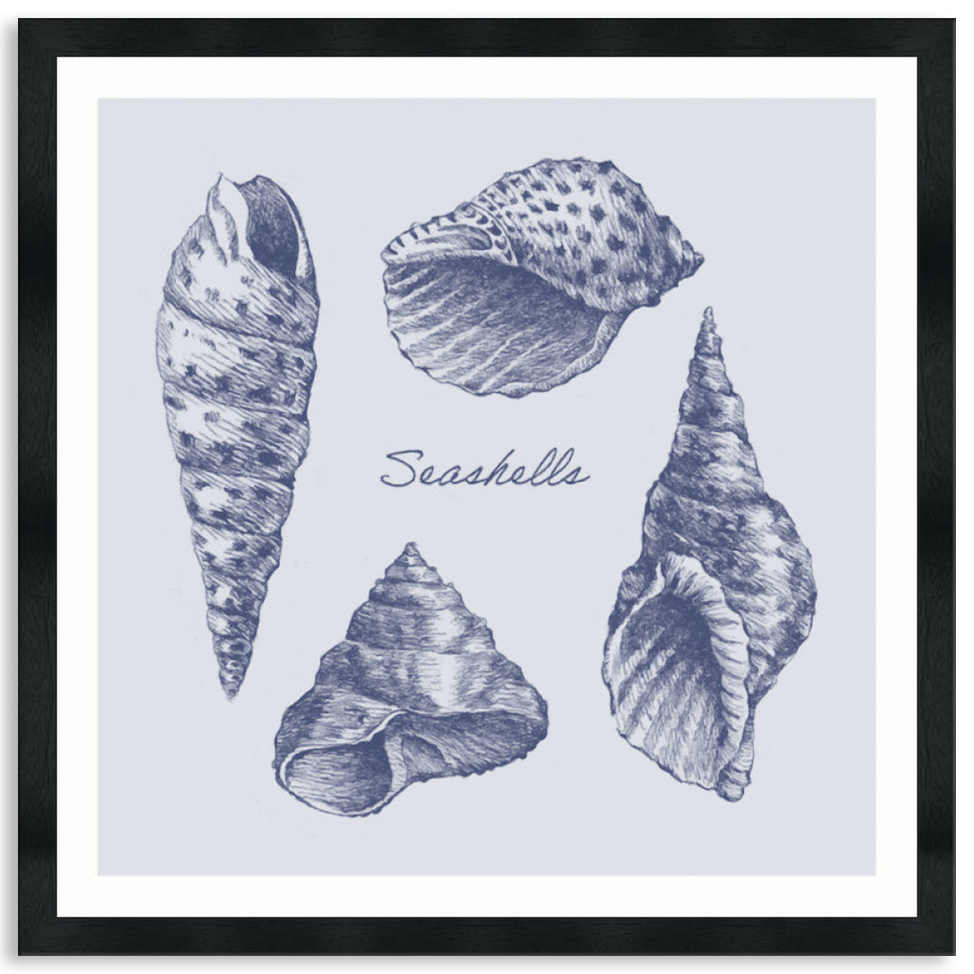 SEA SHELLS II - Framed Print