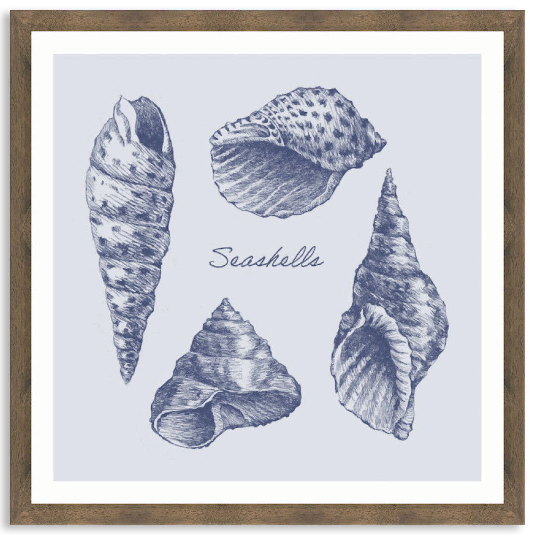 SEA SHELLS II - Framed Print