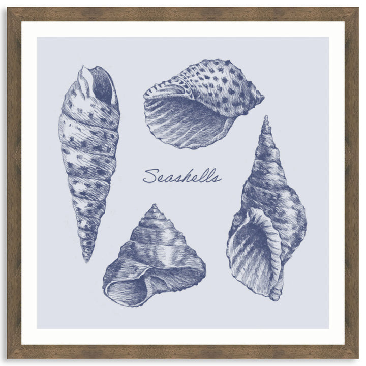SEA SHELLS II - Framed Print