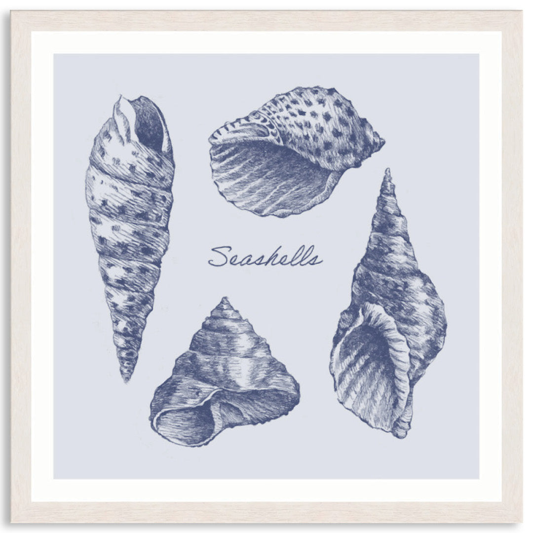 SEA SHELLS II - Framed Print