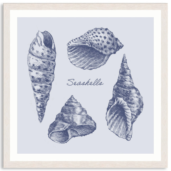 SEA SHELLS II - Framed Print