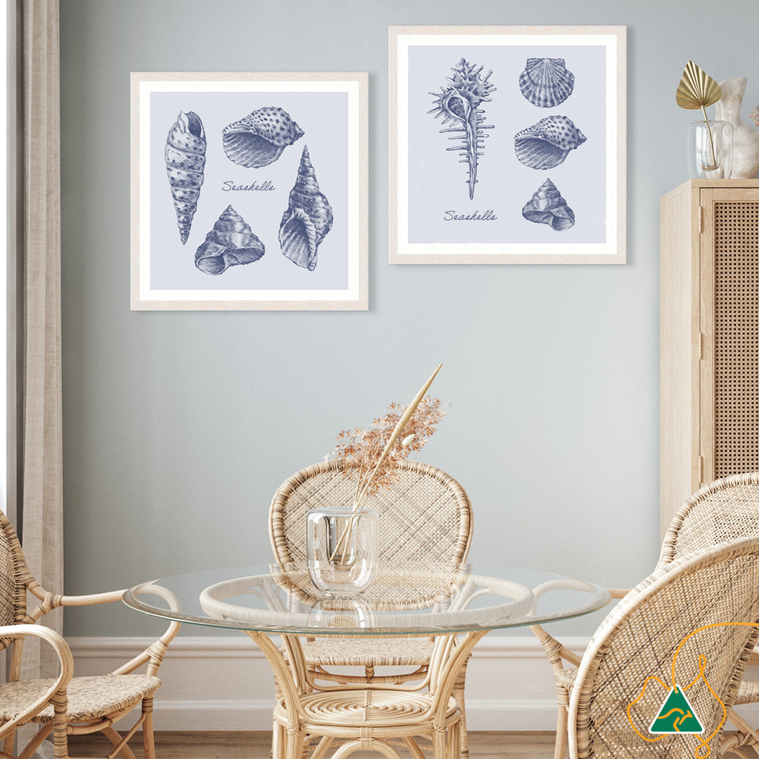 SEA SHELLS II - Framed Print