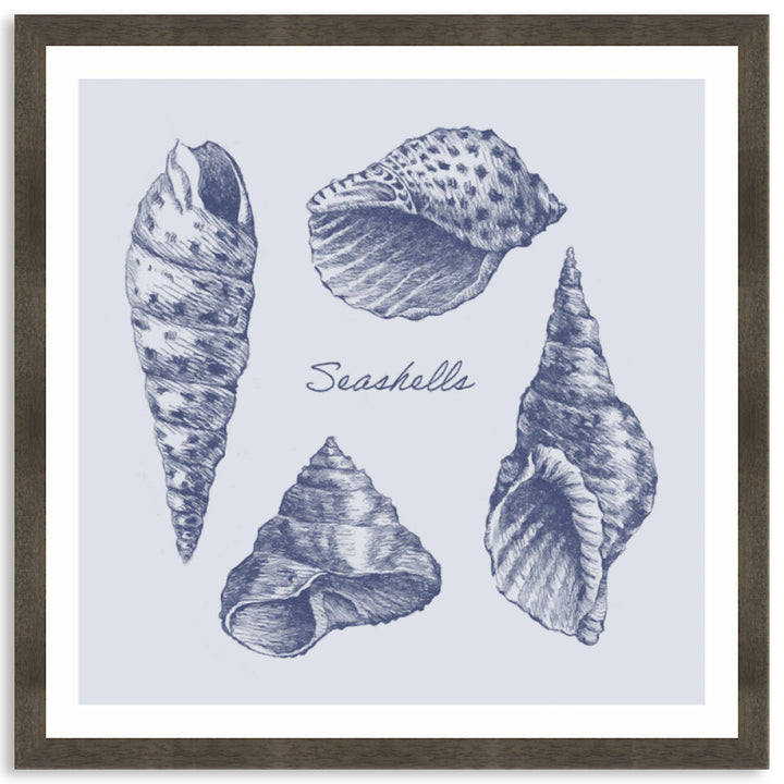 SEA SHELLS II - Framed Print