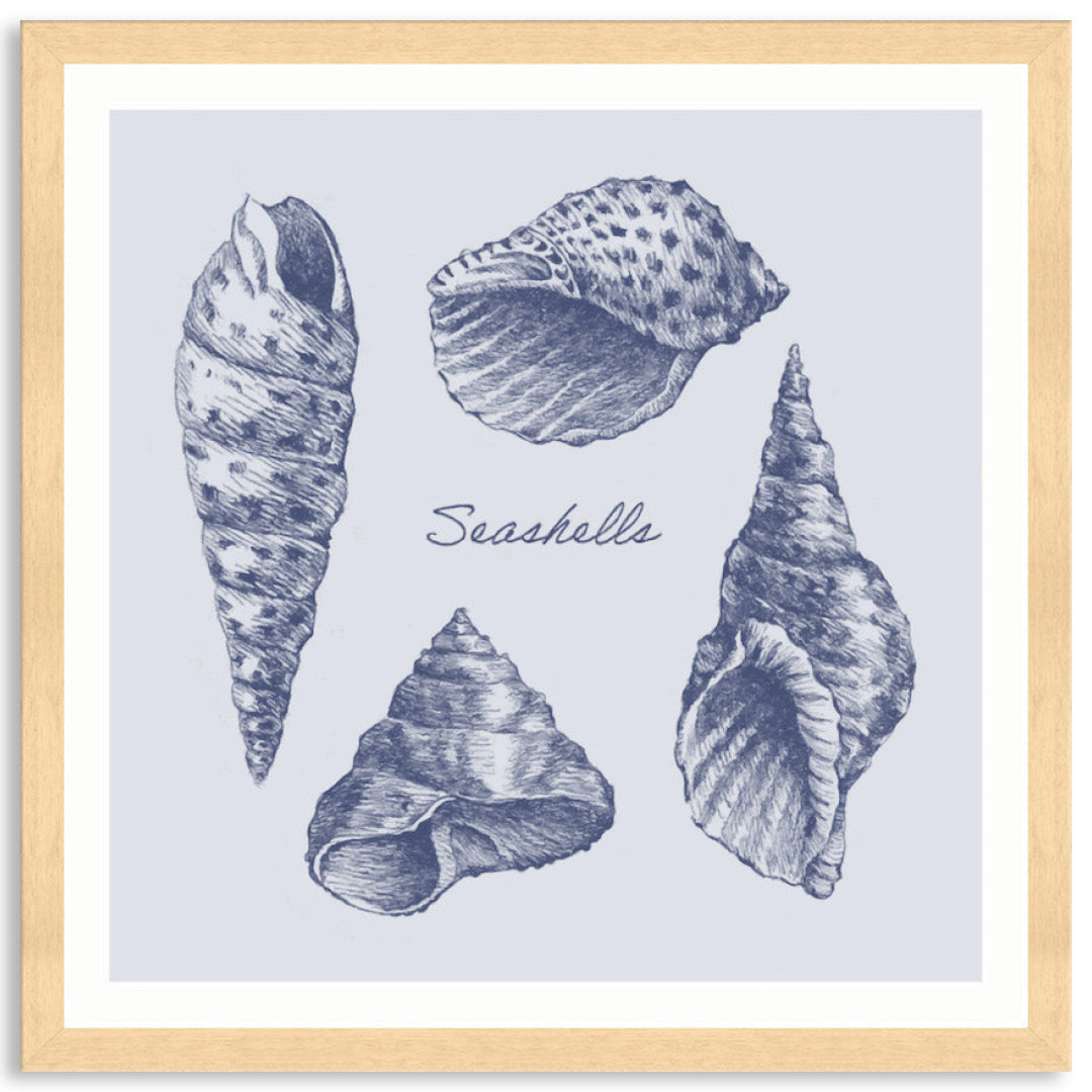 SEA SHELLS II - Framed Print