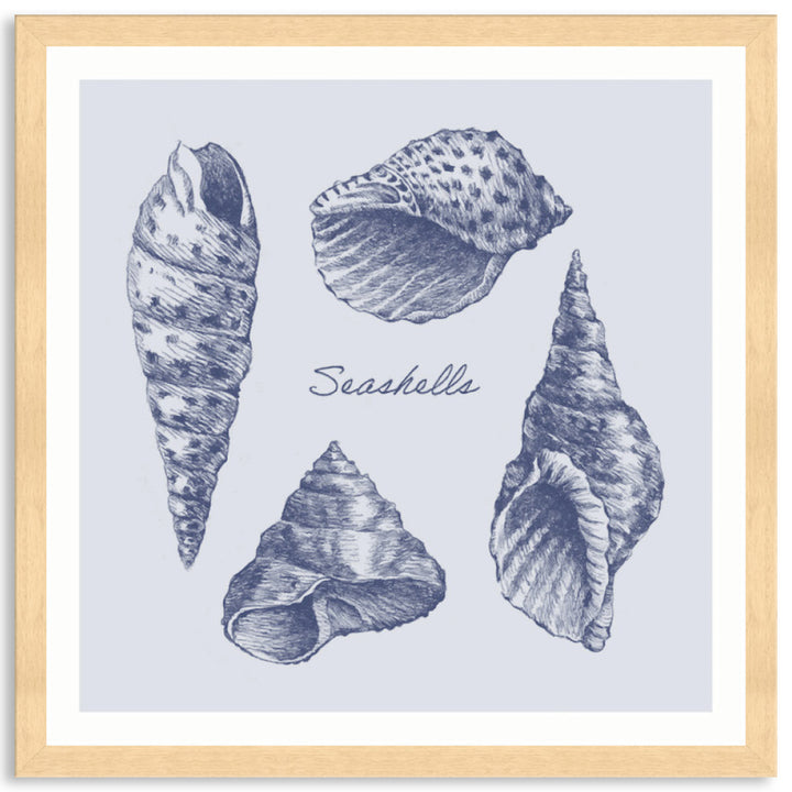 SEA SHELLS II - Framed Print