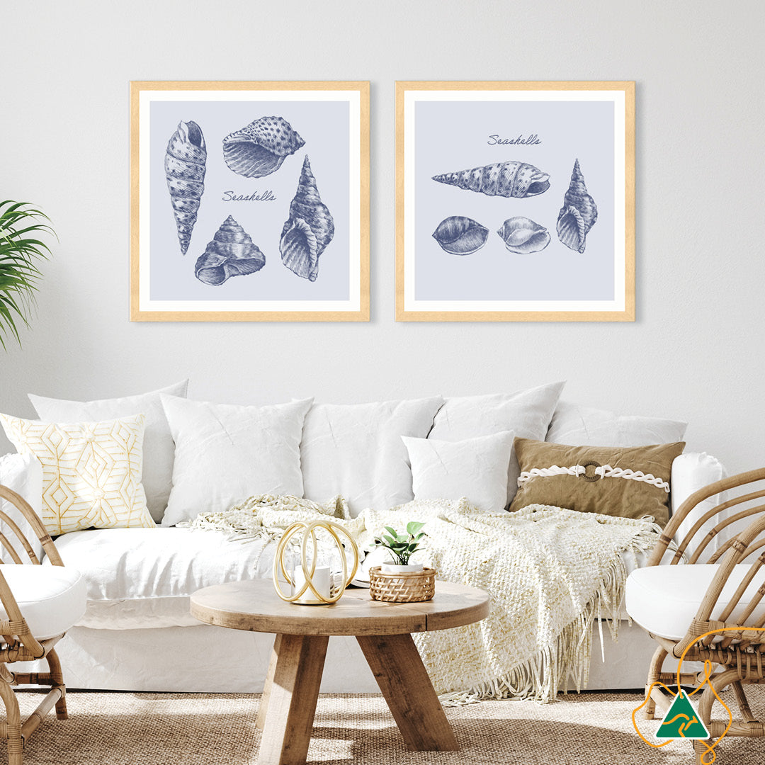SEA SHELLS II - Framed Print