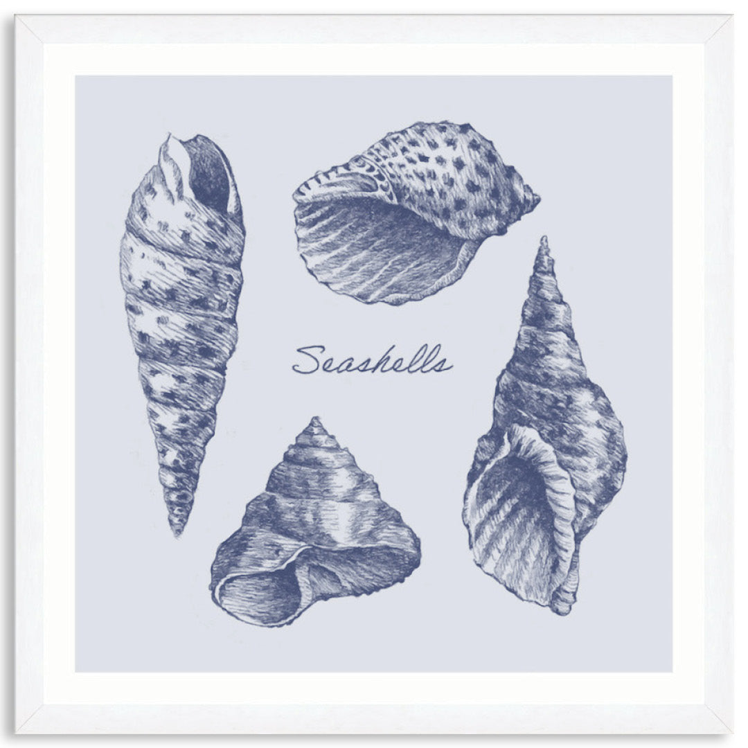 SEA SHELLS II - Framed Print