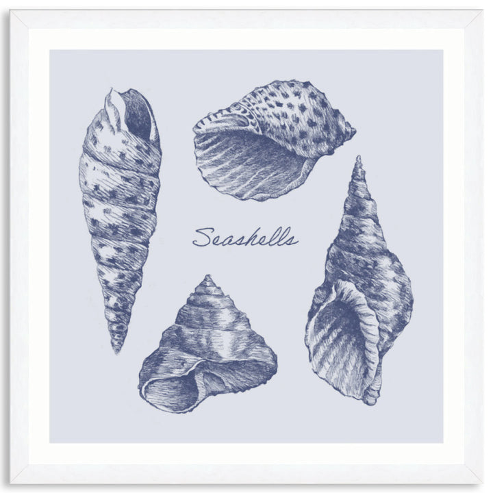 SEA SHELLS II - Framed Print