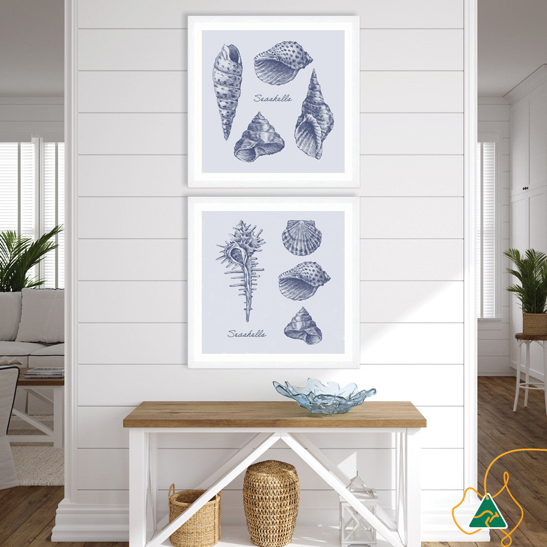 SEA SHELLS II - Framed Print