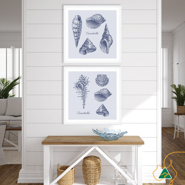 SEA SHELLS II - Framed Print