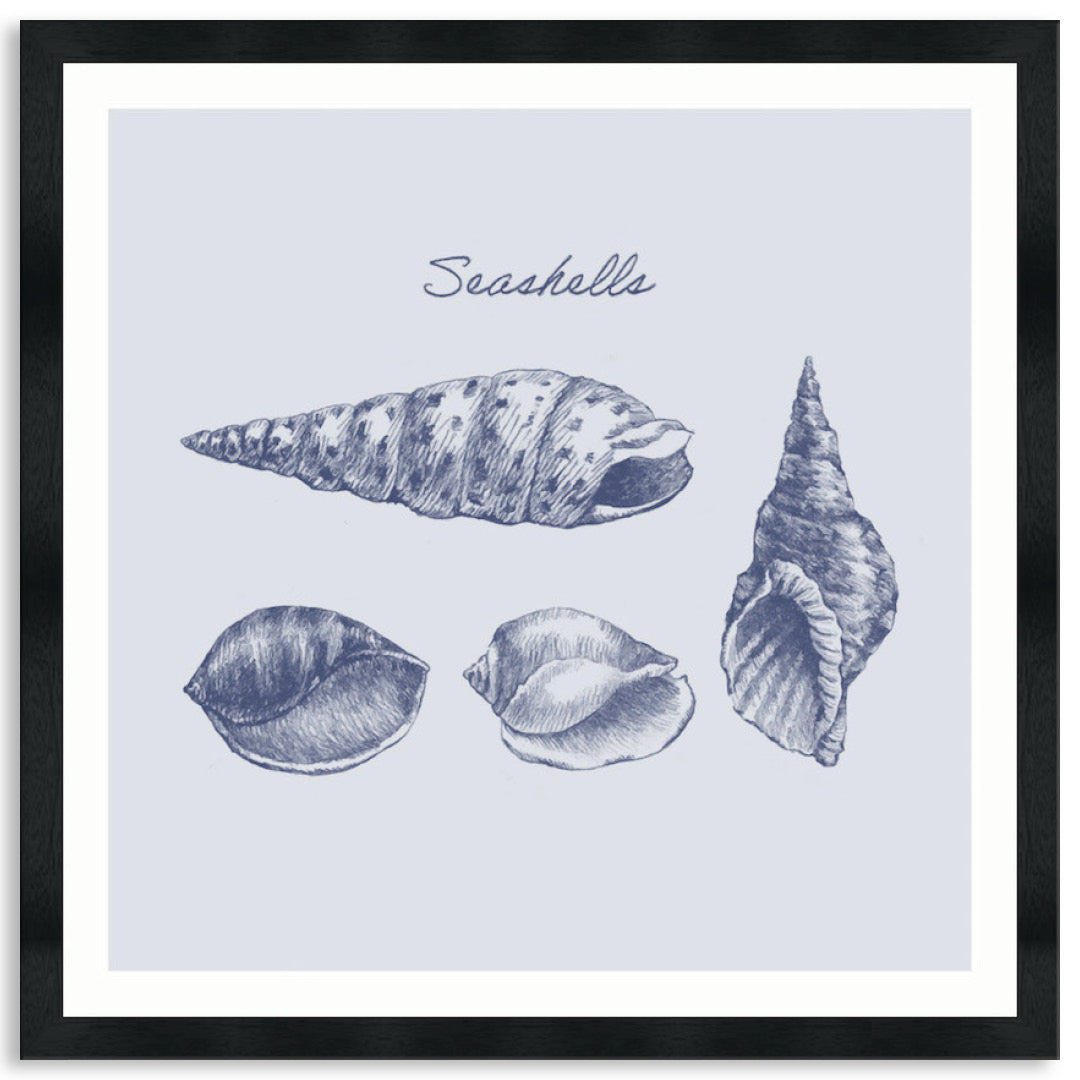SEA SHELLS III - Framed Print