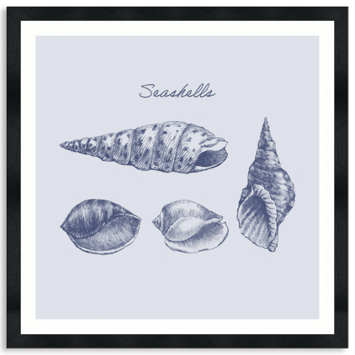 SEA SHELLS III - Framed Print