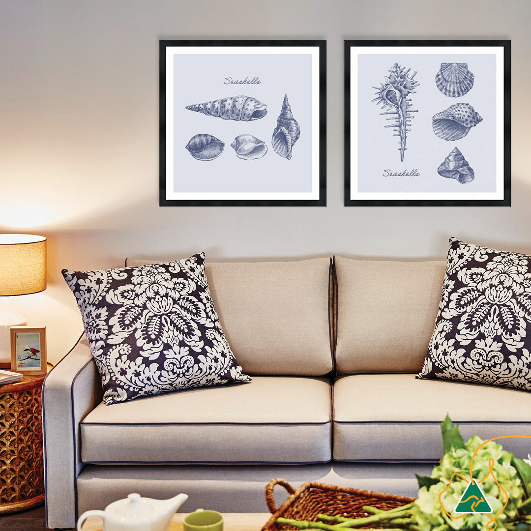 SEA SHELLS III - Framed Print