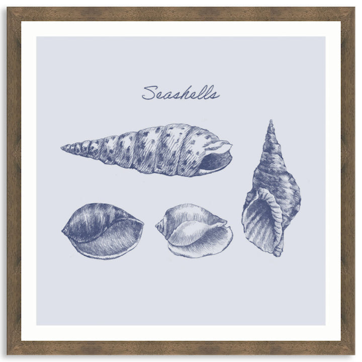 SEA SHELLS III - Framed Print