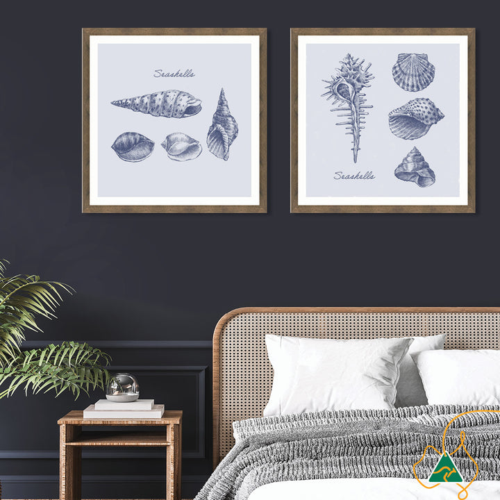 SEA SHELLS III - Framed Print