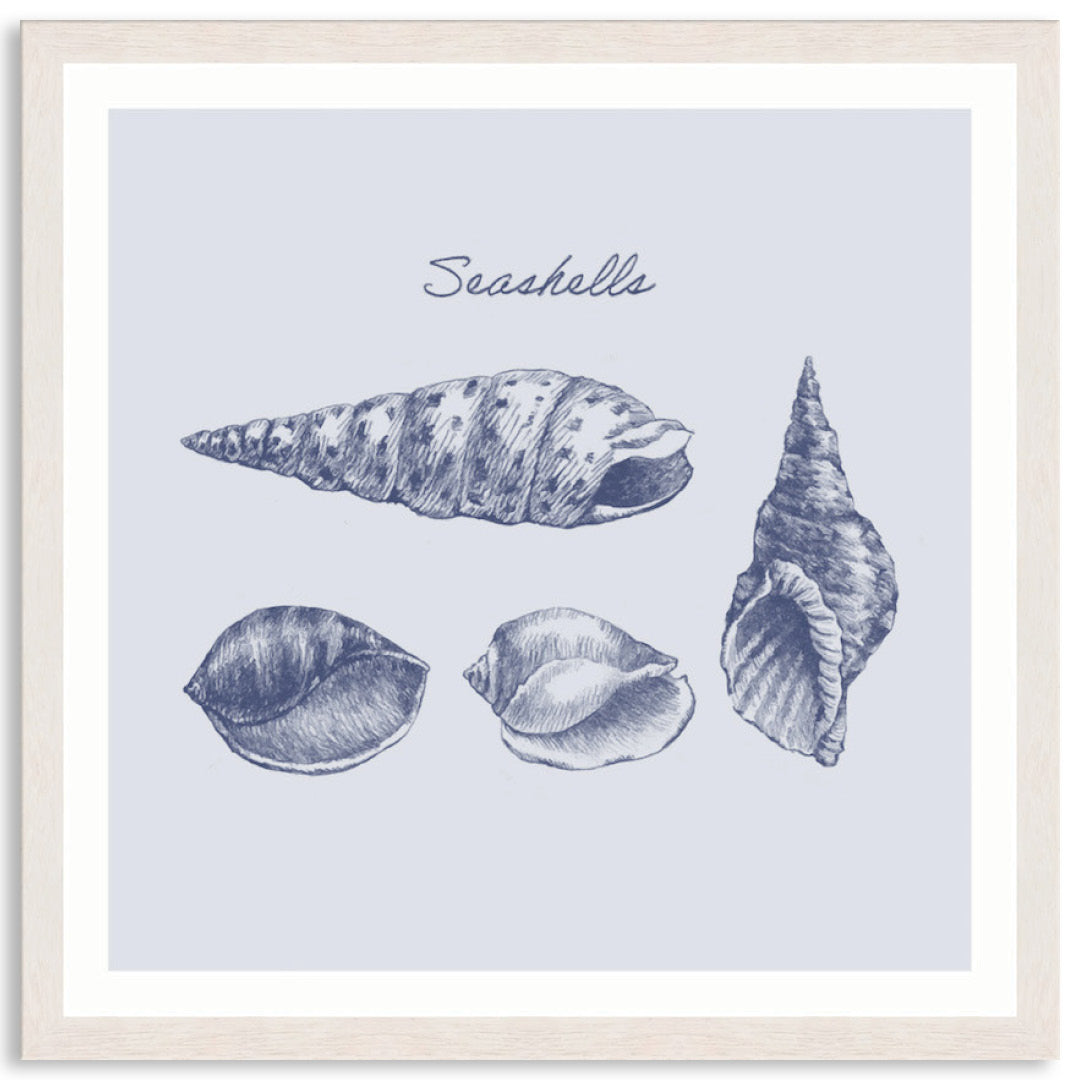 SEA SHELLS III - Framed Print