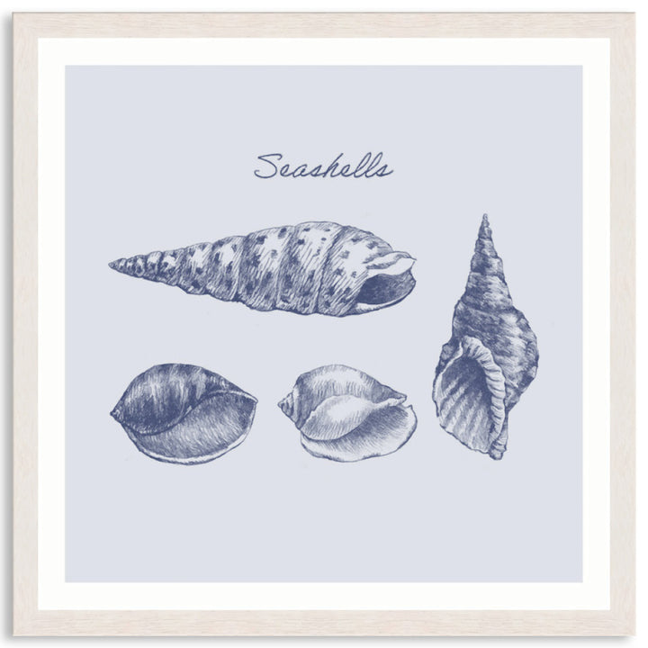 SEA SHELLS III - Framed Print