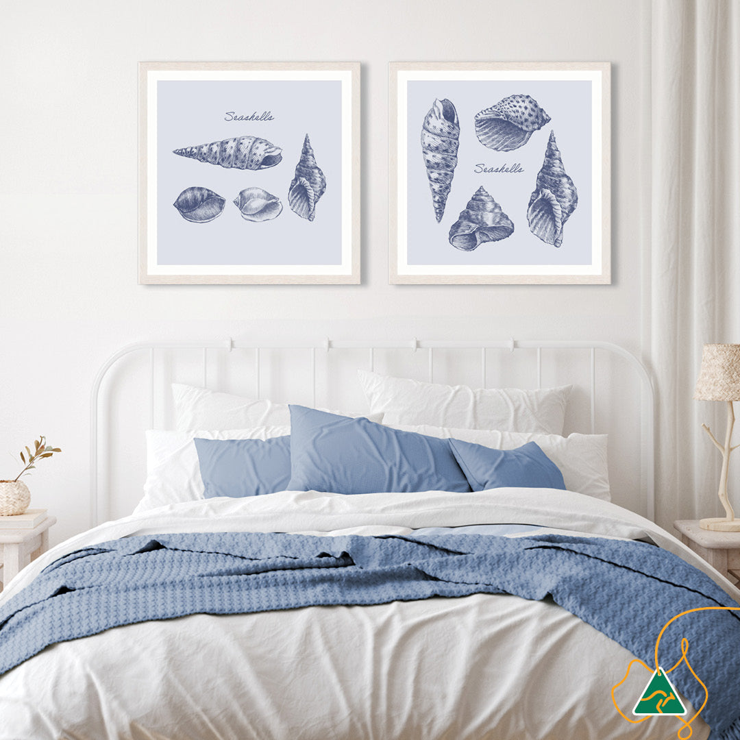 SEA SHELLS III - Framed Print