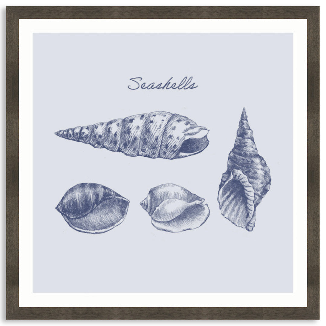 SEA SHELLS III - Framed Print