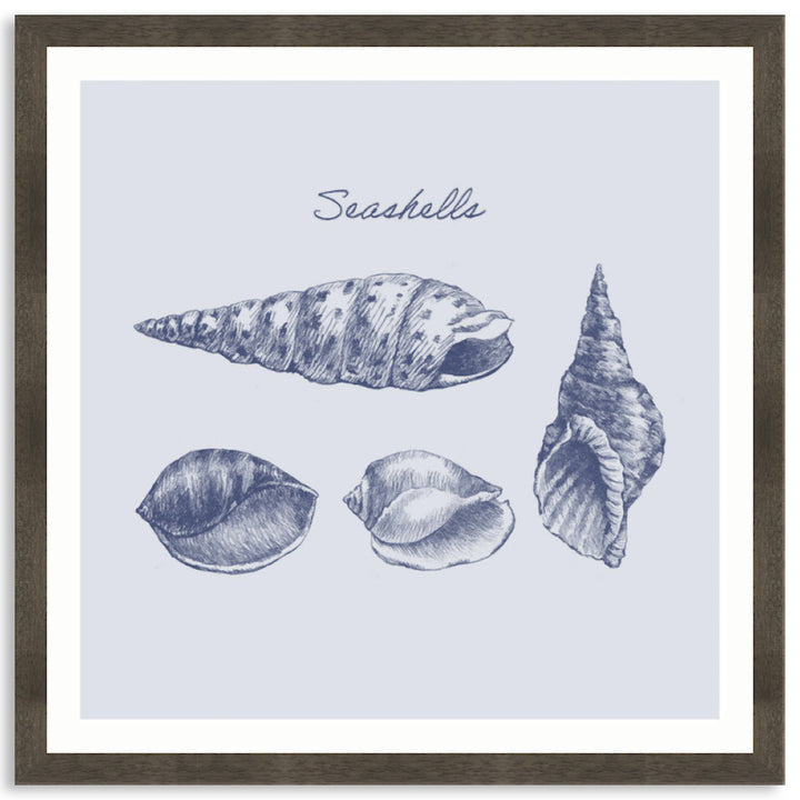 SEA SHELLS III - Framed Print