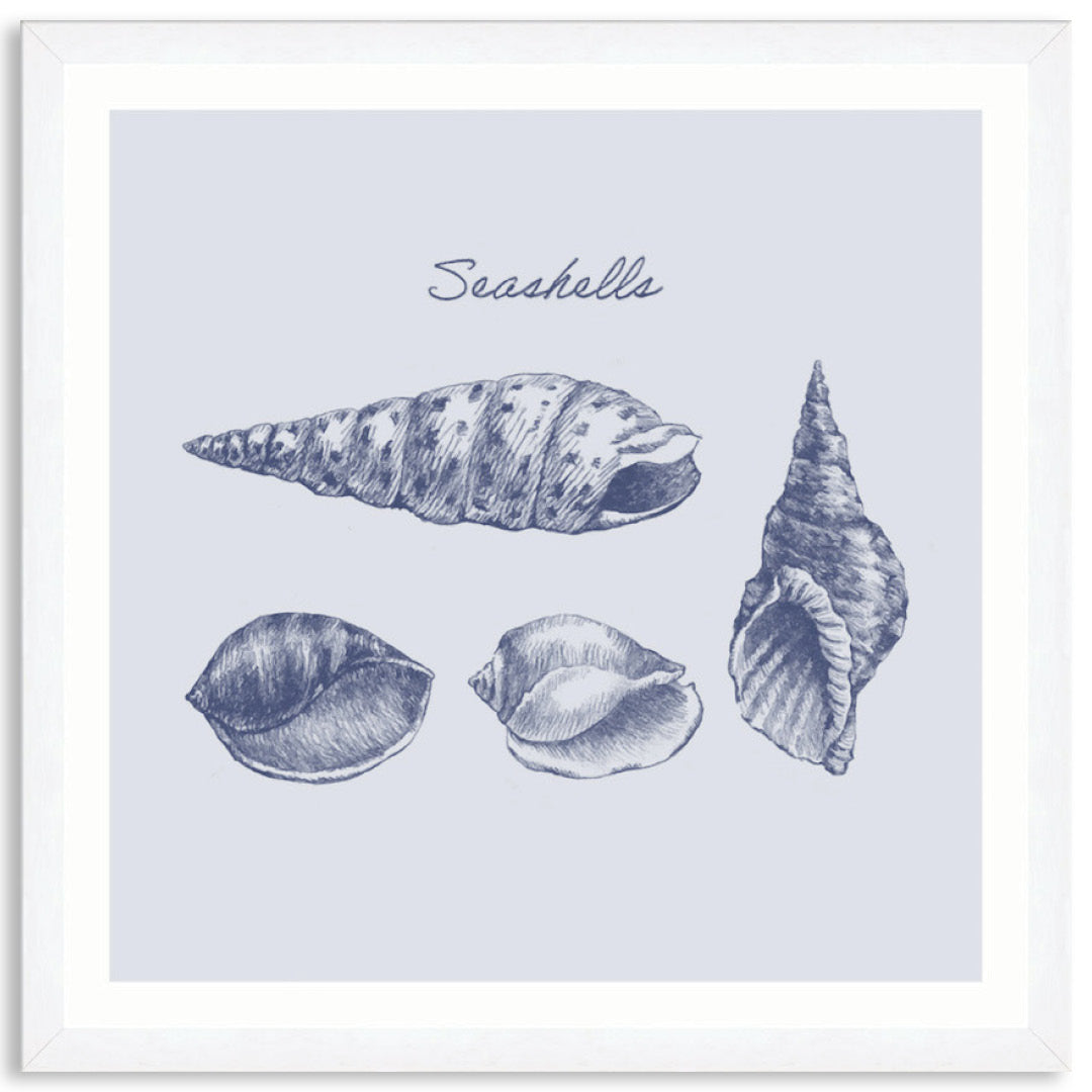 SEA SHELLS III - Framed Print