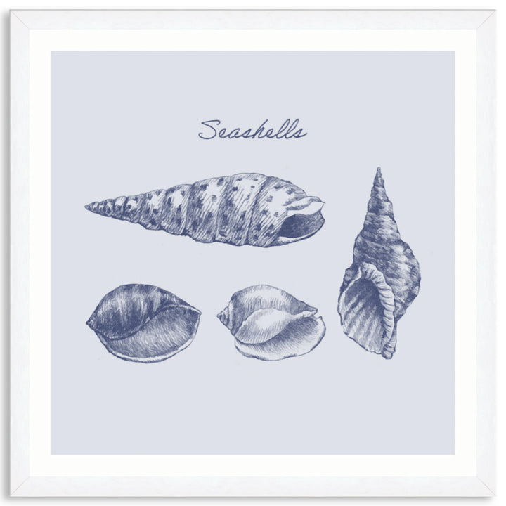 SEA SHELLS III - Framed Print