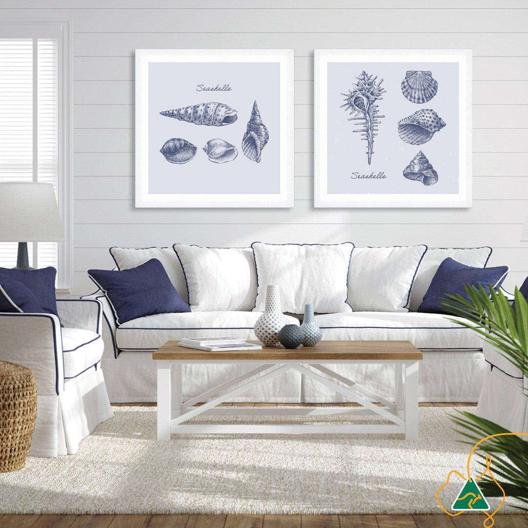 SEA SHELLS III - Framed Print