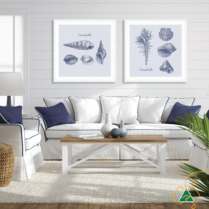 SEA SHELLS III - Framed Print