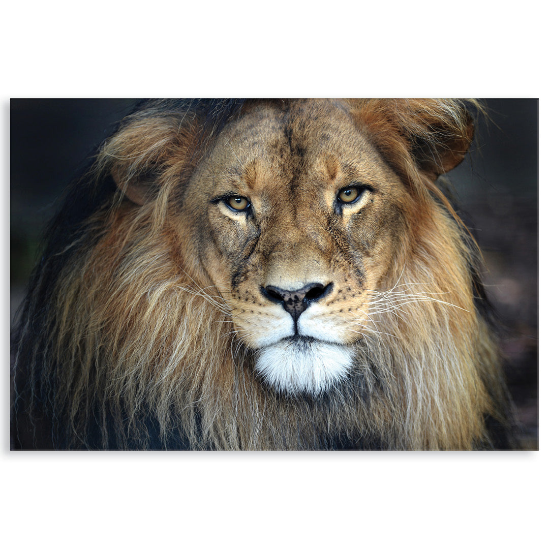 CECIL - Glass Art