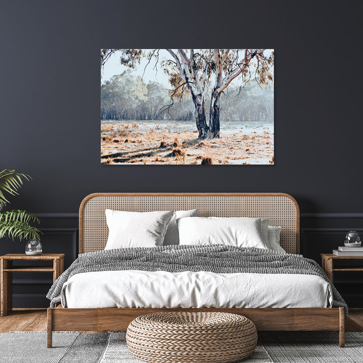 RIVER GUM - Glass Art
