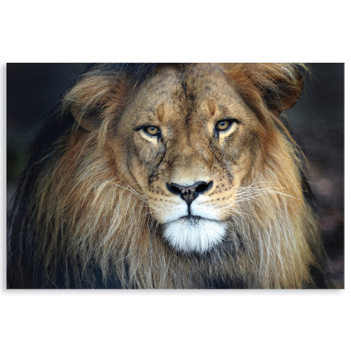 CECIL - Canvas Print