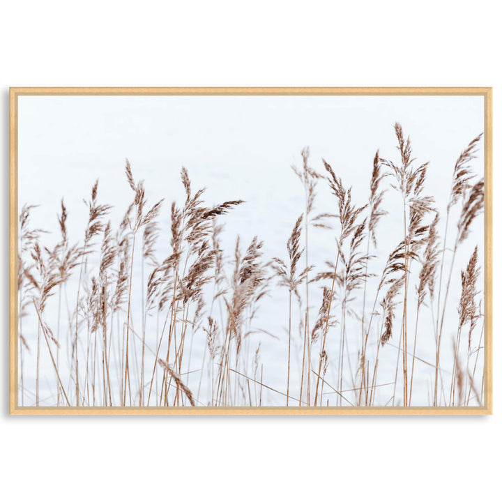 GRASS BREEZE - Framed Canvas