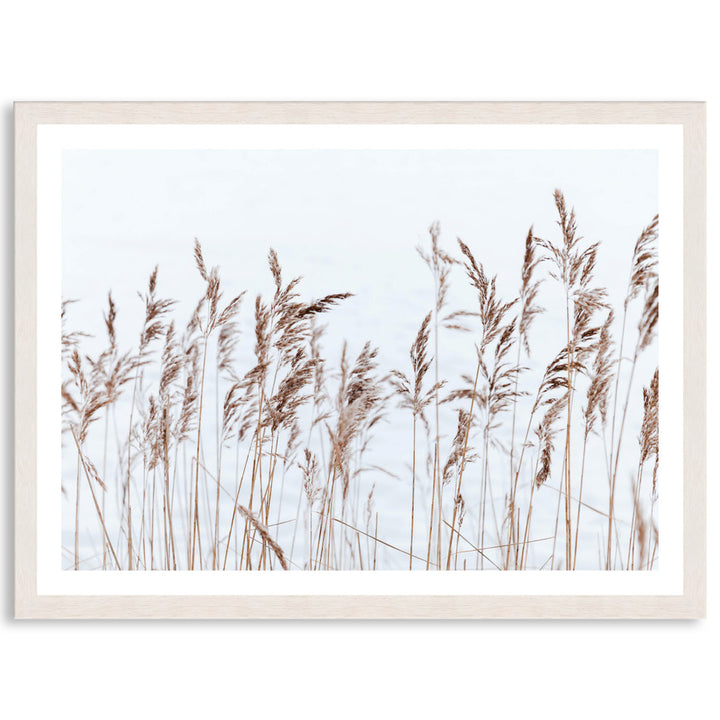 GRASS BREEZE - Framed Print