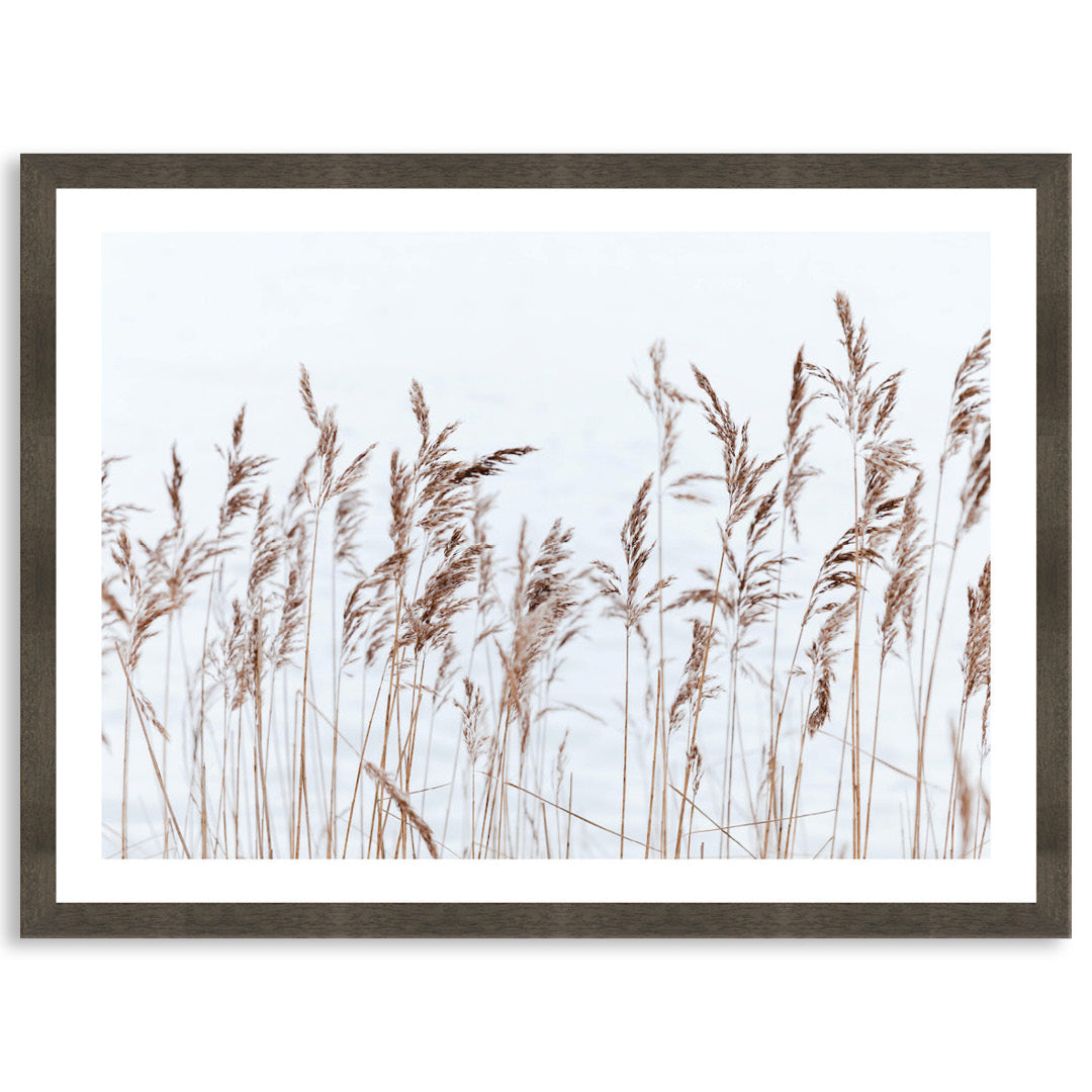 GRASS BREEZE - Framed Print