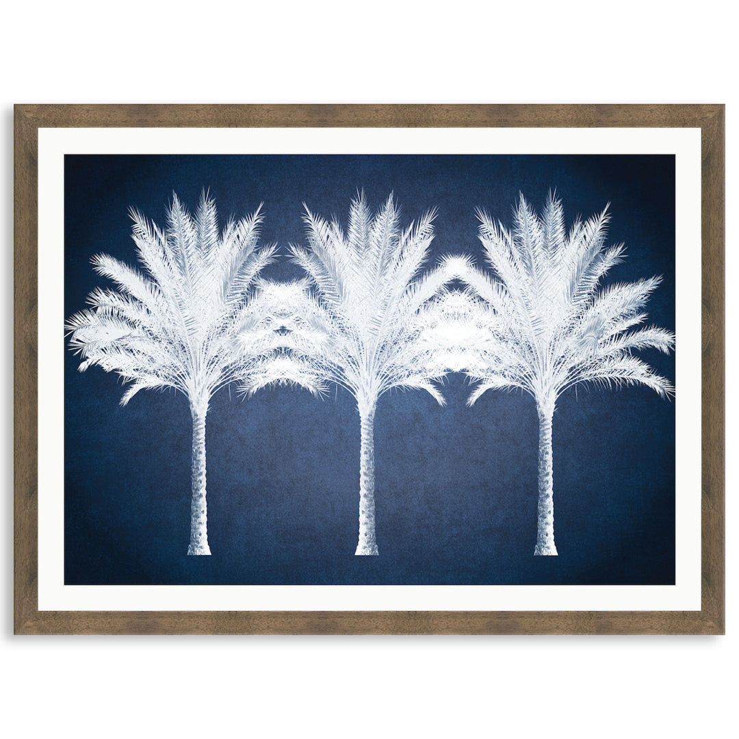 SUMMER PALM - Framed Print