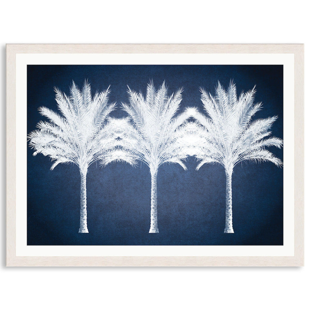 SUMMER PALM - Framed Print