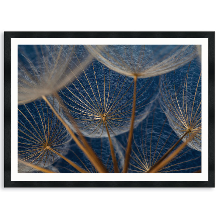 MACRO BOTANICAL I - Framed Print