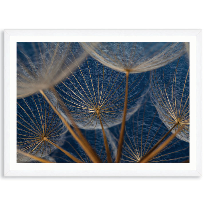 MACRO BOTANICAL I - Framed Print