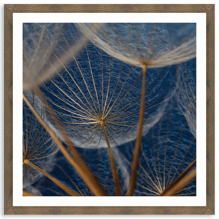 MACRO BOTANICAL II - Framed Print