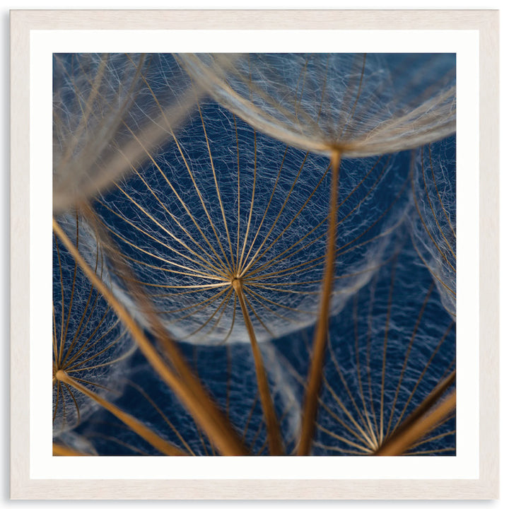 MACRO BOTANICAL II - Framed Print