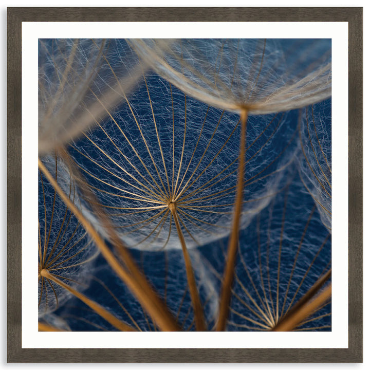 MACRO BOTANICAL II - Framed Print