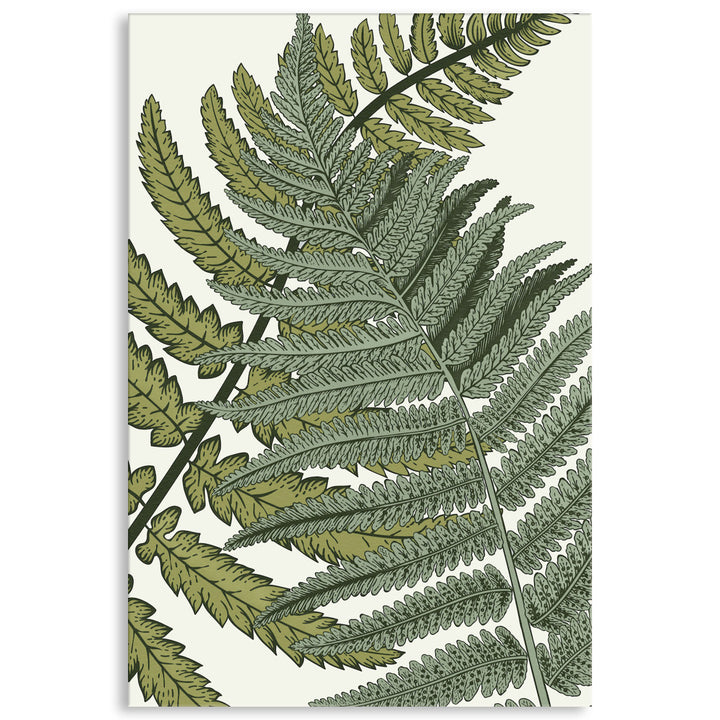 FERN STUDY I - Canvas Print