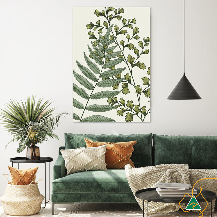 FERN STUDY II - Canvas Print