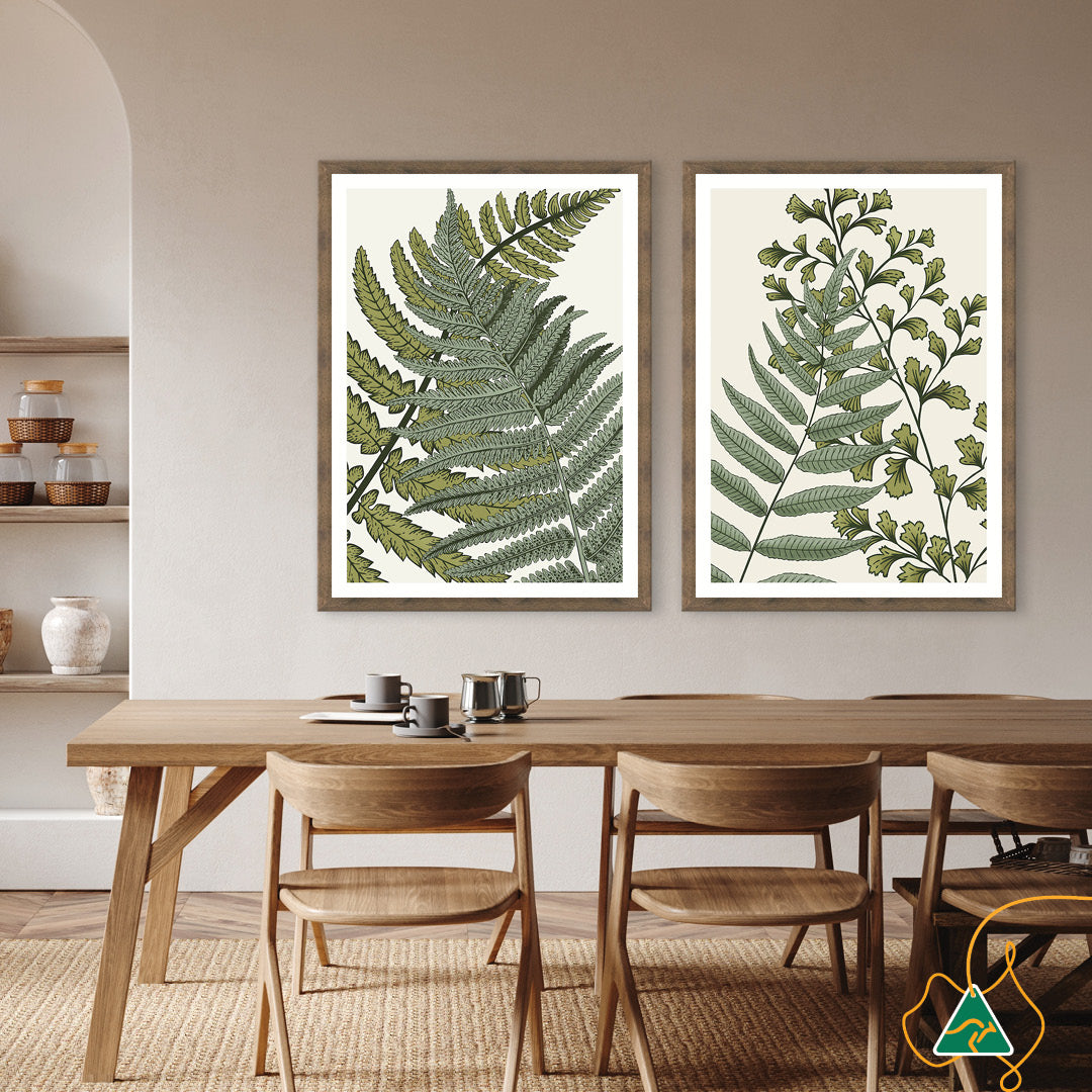 FERN STUDY I - Framed Print